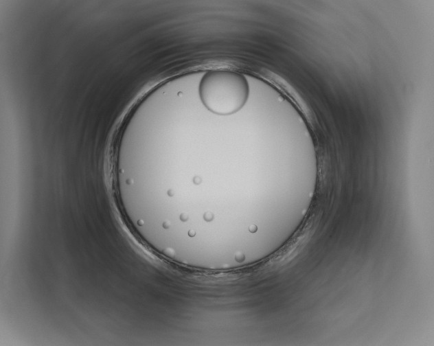 X0000111930851200908031116