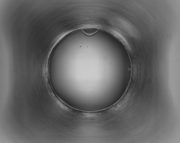 X0000111930852200908031116