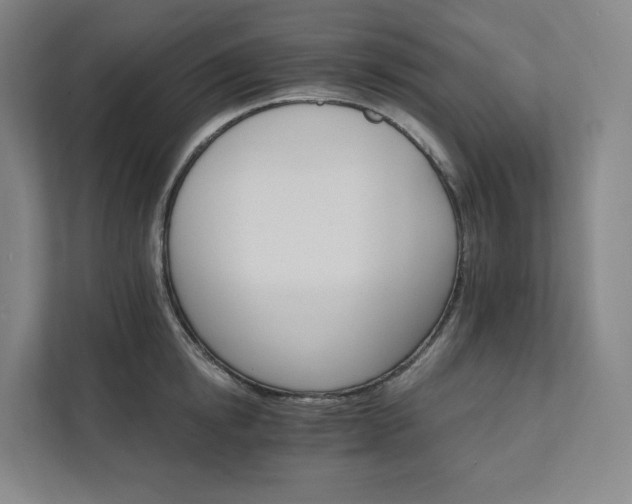 X0000111930854200908031116