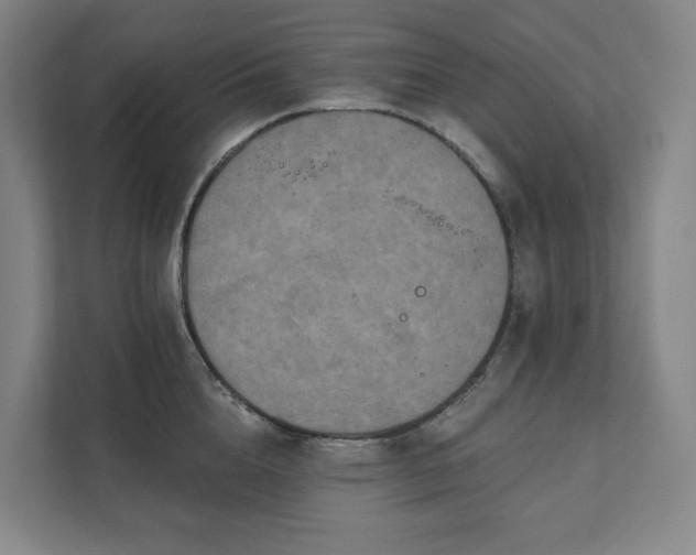 X0000111930856200908031116