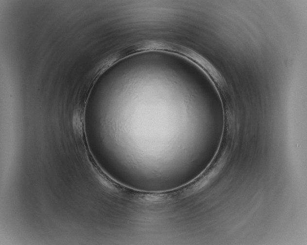 X0000111930857200908031116