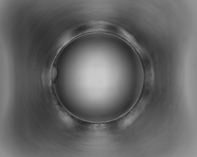 X0000111930858200908031116