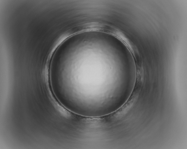 X0000111930859200908031117