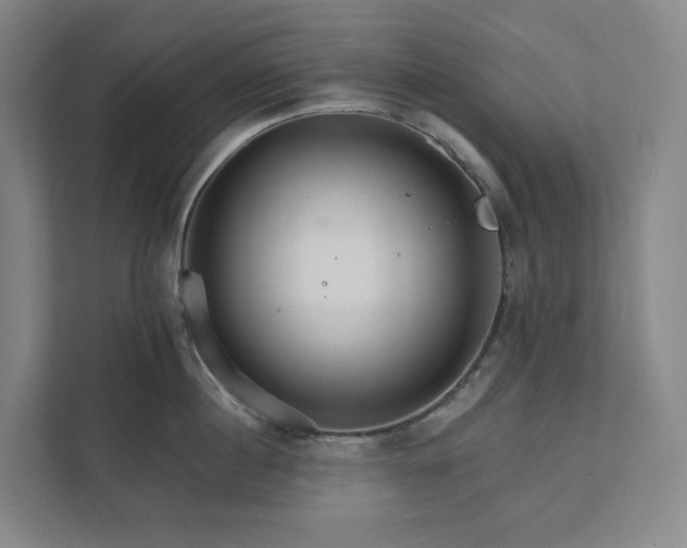 X0000111930860200908031117