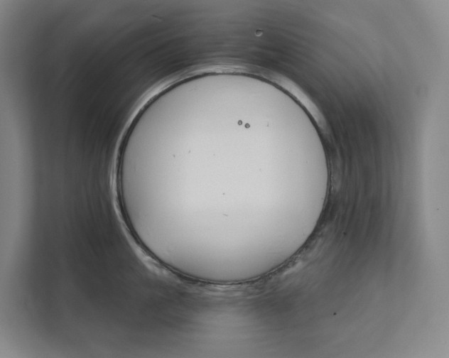 X0000111930861200908031117