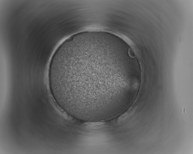 X0000111930864200908031117