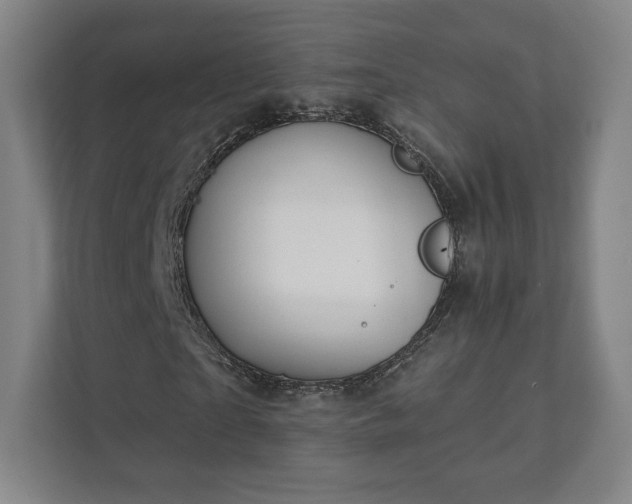 X0000111930865200908031116