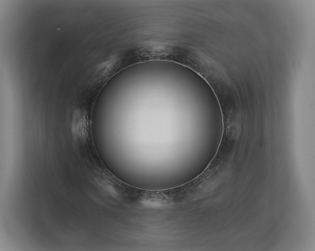 X0000111930866200908031116