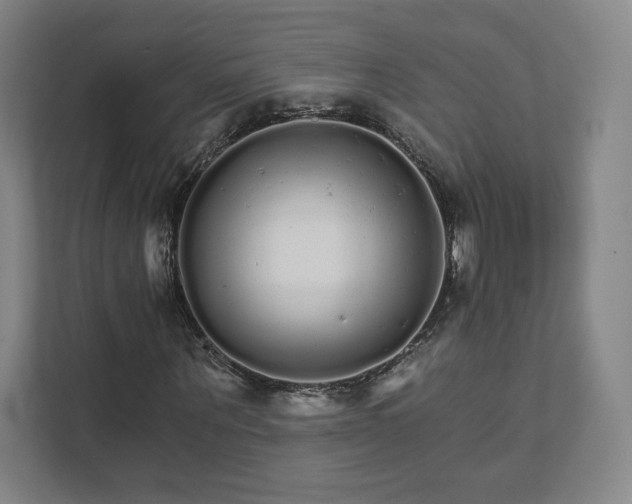 X0000111930867200908031116