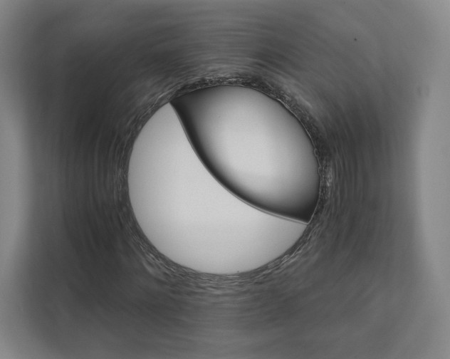 X0000111930868200908031116