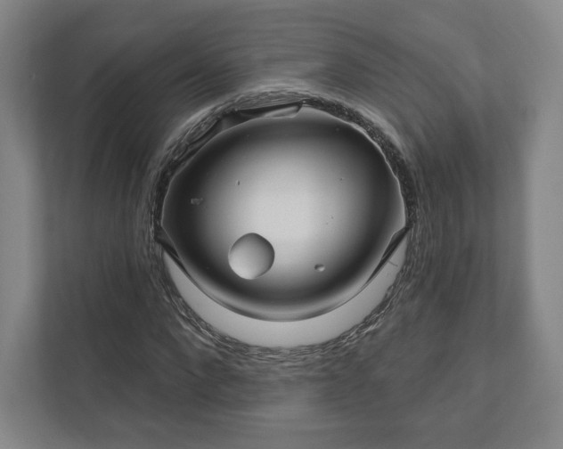 X0000111930872200908031116