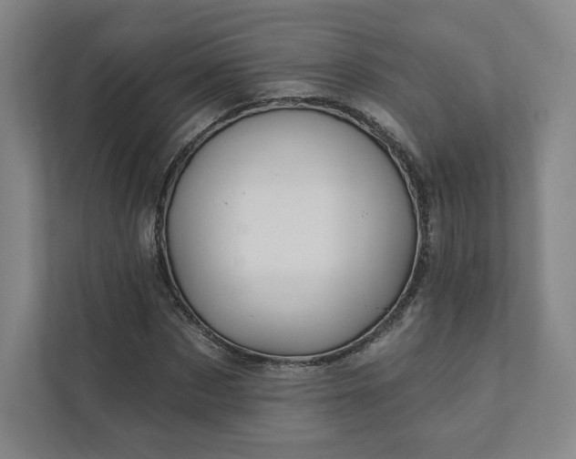 X0000111930873200908031116