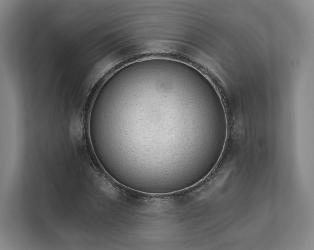 X0000111930874200908031116