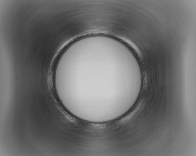 X0000111930878200908031116