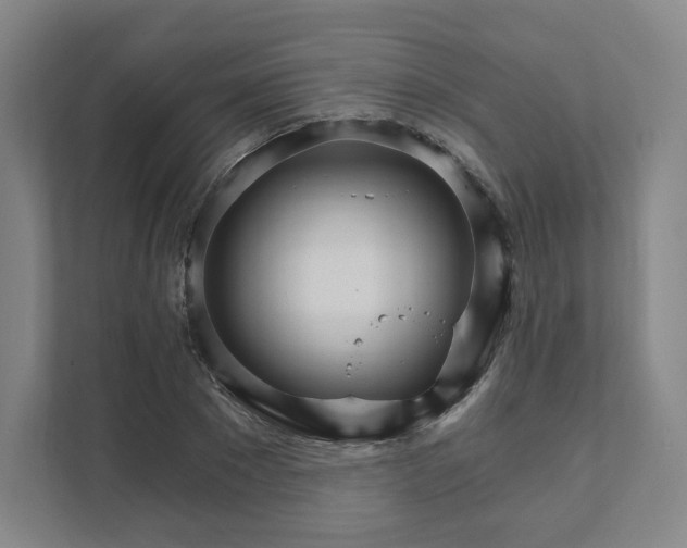 X0000111930881200908031116