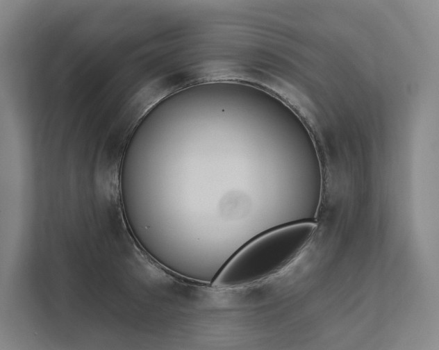 X0000111930897200908031116