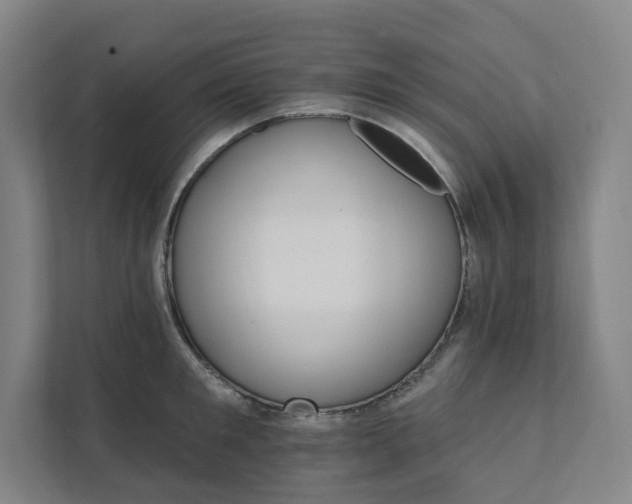 X0000111930901200908031115