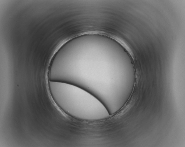 X0000111930906200908031115