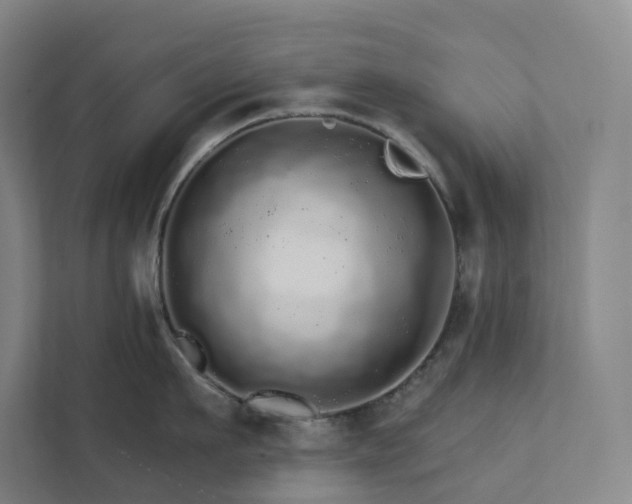 X0000111930911200908031115