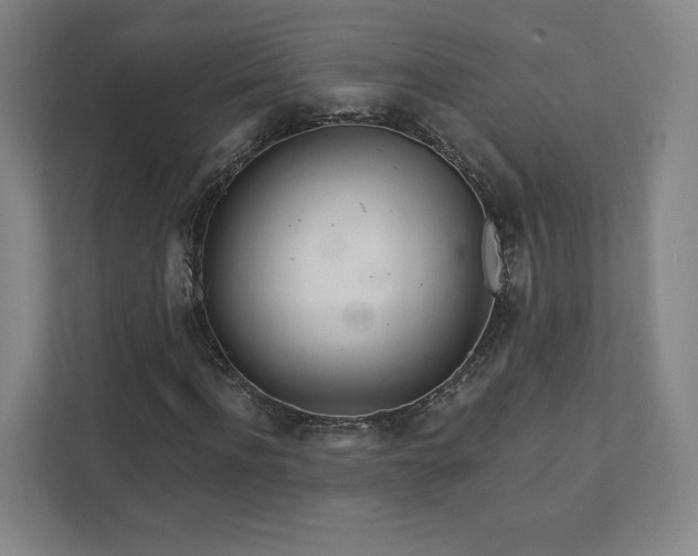 X0000111930916200908031115