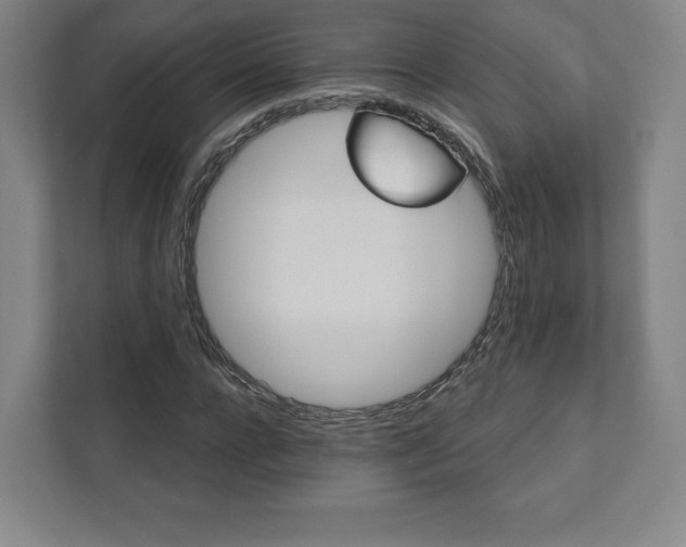 X0000111930920200908031115