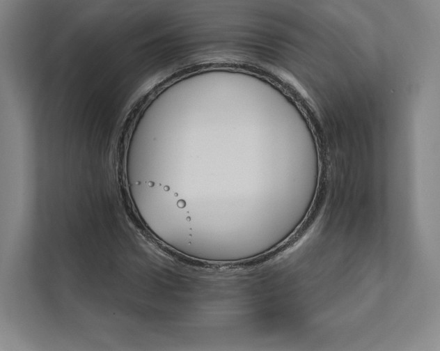 X0000111930922200908031115