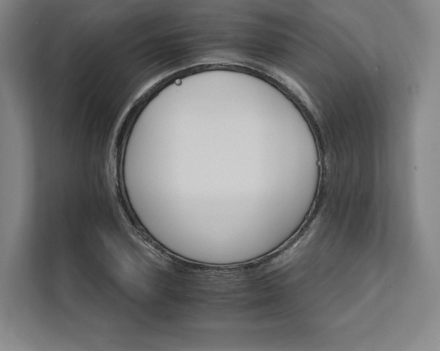 X0000111930931200908031115