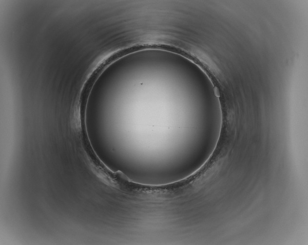 X0000111930934200908031115