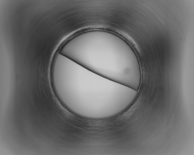 X0000111930935200908031115