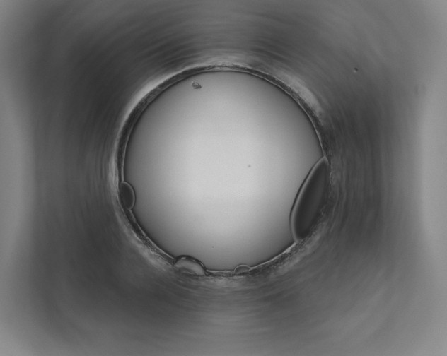 X0000111930936200908031115