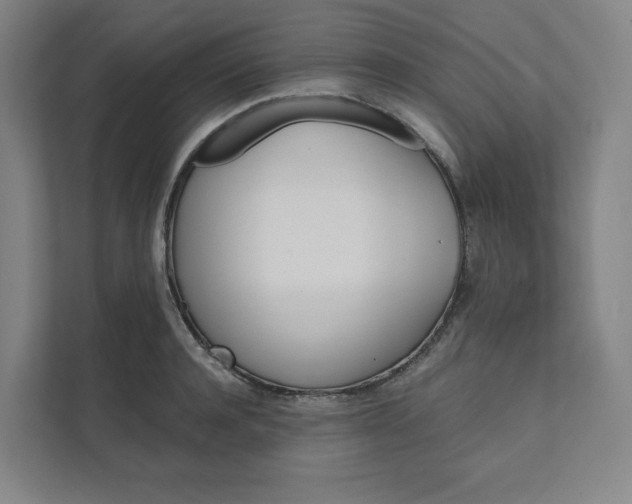 X0000111930944200908031115