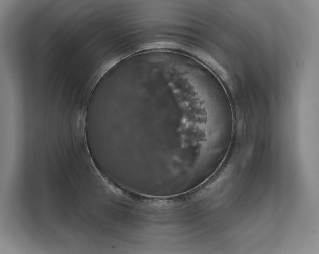 X0000111930945200908031115