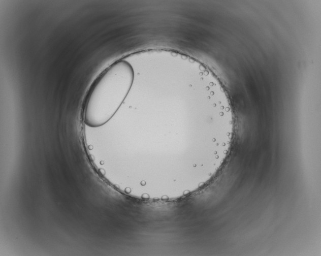 X0000111930950200908031115