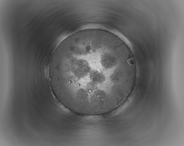 X0000111930953200908031115