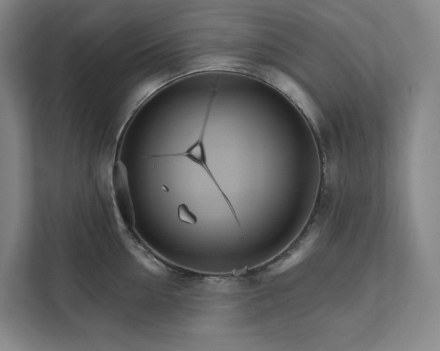 X0000111930954200908031115