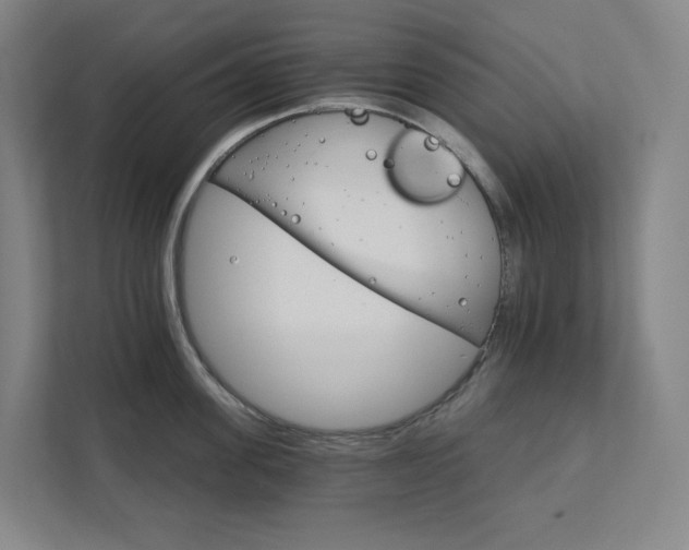 X0000111930955200908031115