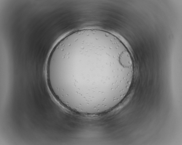 X0000111930957200908031115