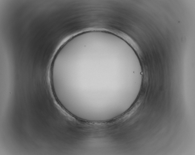 X0000111930958200908031115