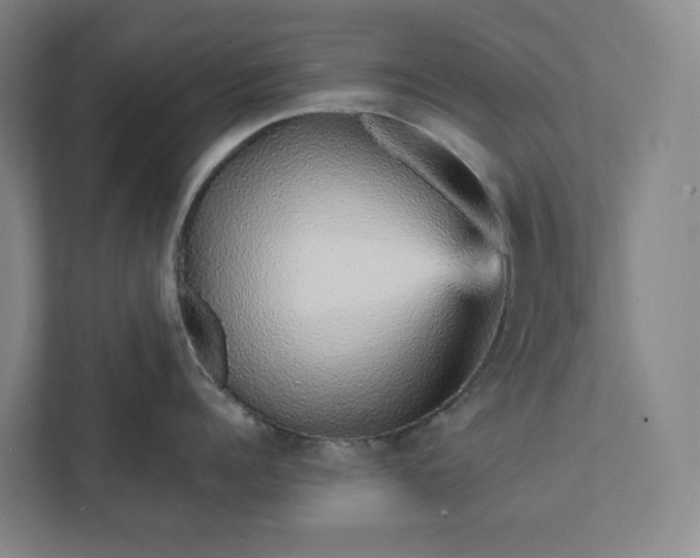 X0000111930960200908031115