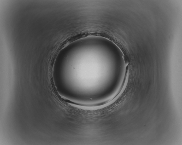 X0000111930961200908031115