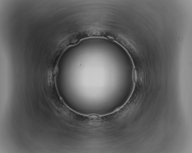 X0000111930964200908031115