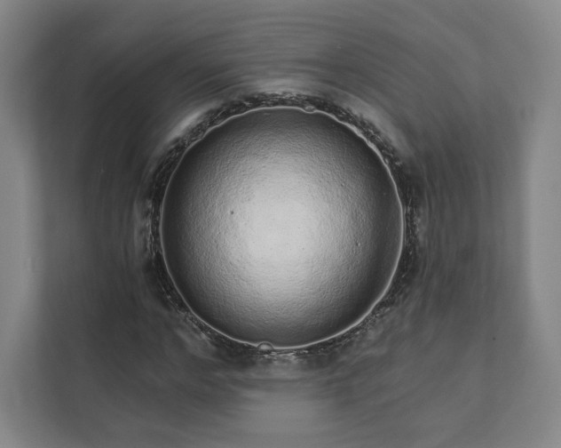 X0000111930968200908031115