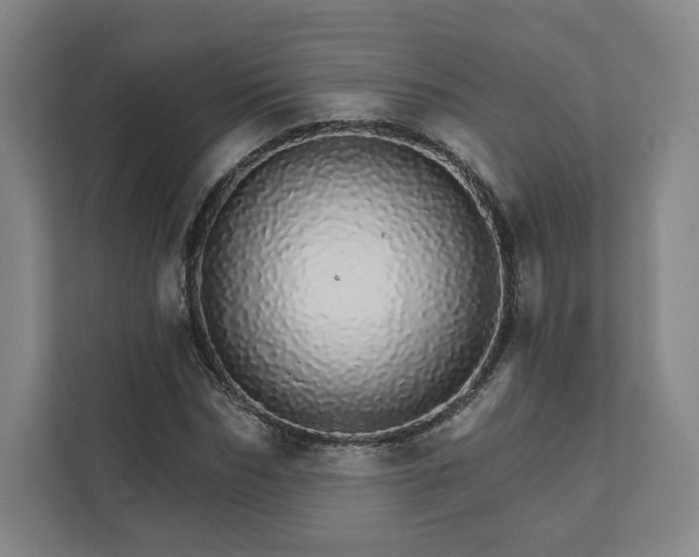 X0000111930970200908031115