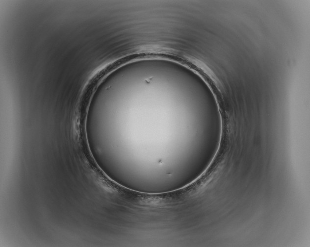 X0000111930971200908031115