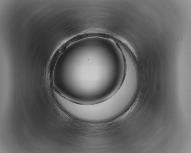 X0000111930973200908031115