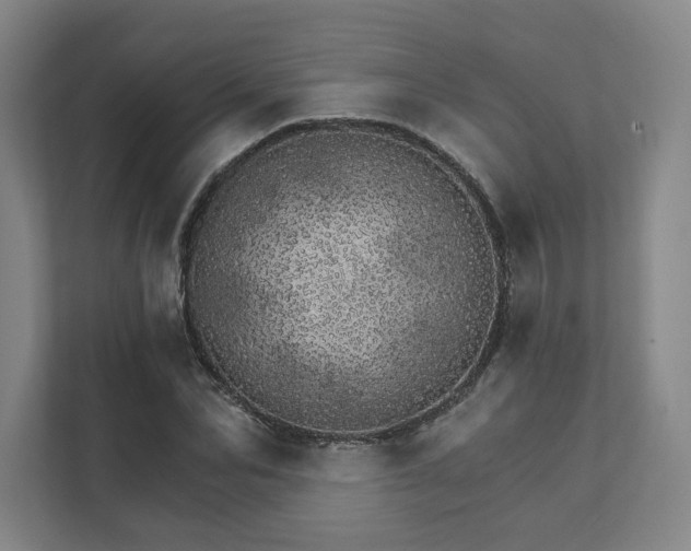 X0000111930974200908031115