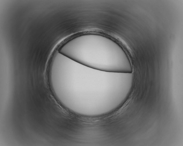 X0000111930975200908031115