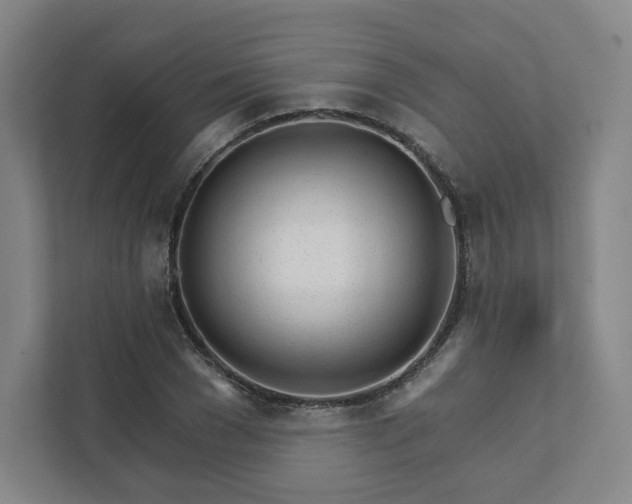 X0000111930977200908031114