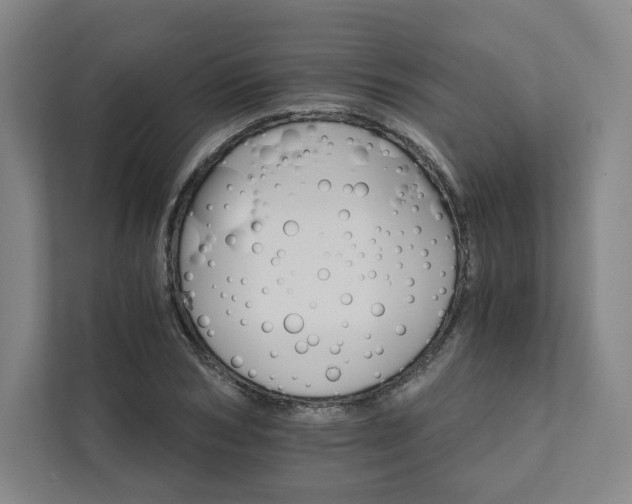 X0000111930978200908031114