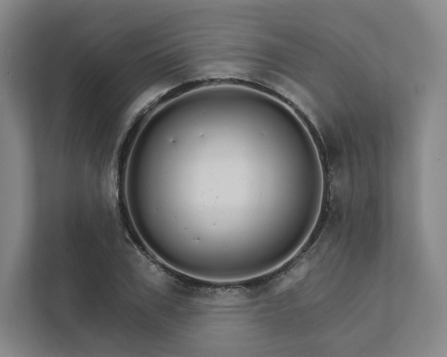 X0000111930979200908031114